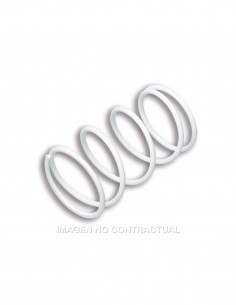 MUELLE POLEA CONDUCIDA MALLOSI