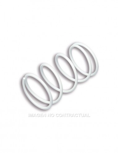 MUELLE POLEA CONDUCIDA MALLOSI