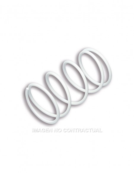 MUELLE POLEA CONDUCIDA MALLOSI