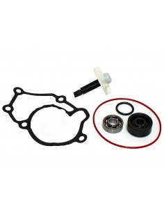 KIT REPARACIÓN BOMBA DE AGUA Y