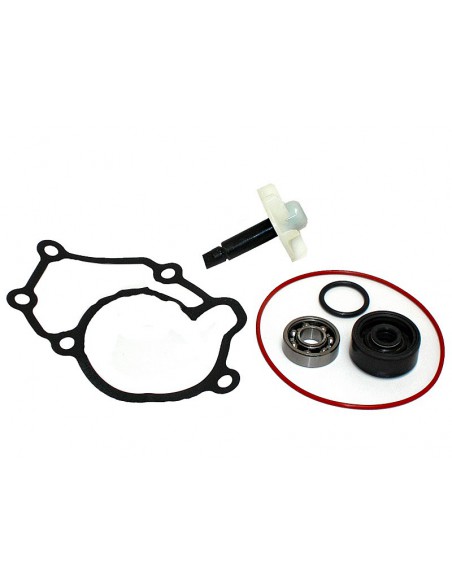KIT REPARACIÓN BOMBA DE AGUA Y