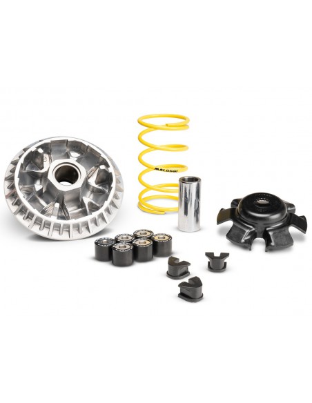 VARIADOR MALOSSI MULTIVAR SYM JOYMAX Z+ 300 IE E5 21-23