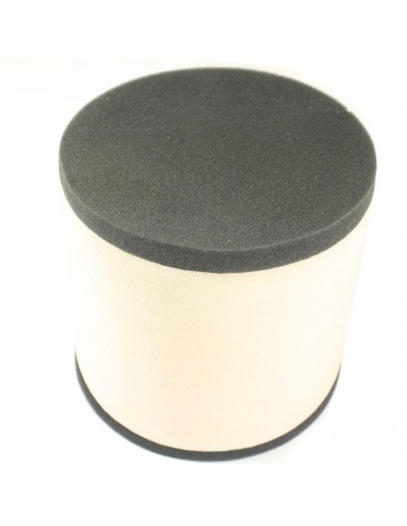 FILTRO AIRE TWIN AIR 158270FR