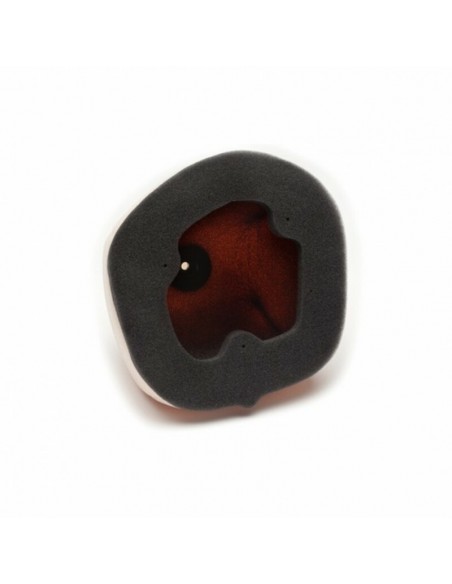 FILTRO AIRE TWIN AIR 154218FR