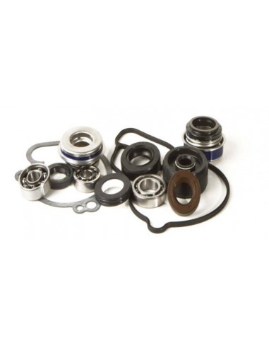 KIT REPARACIÓN BOMBA DE AGUA HOT RODS WPK0001