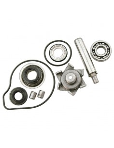KIT REPARA BOMBA AGUA PCX 125