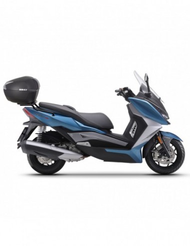 TOP MASTER ARIIC CHINF 318