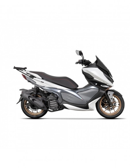 TOP MASTER MALAGUTI MADISON 125