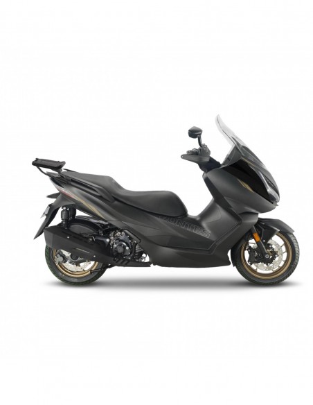 TOP MASTER ZONTES  E125/E350