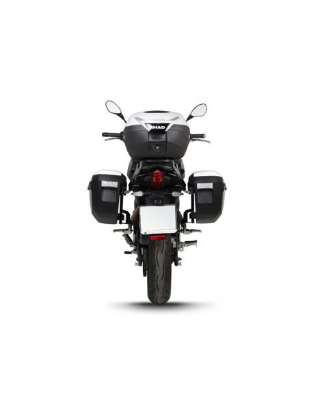 3P SYST. BENELLI BN 251 '17