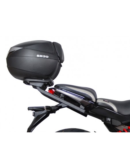 TRANSPORTIN ER6 N F 2012