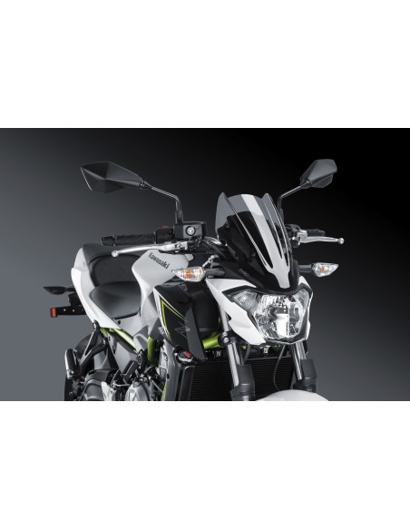 CBRIS. N.G. SPORT KAWASAKI Z65