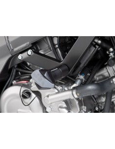 Protectores de motor R R12