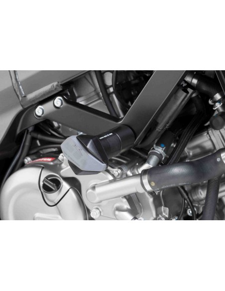 Protectores de motor R R12