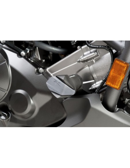 Protectores de motor R R12