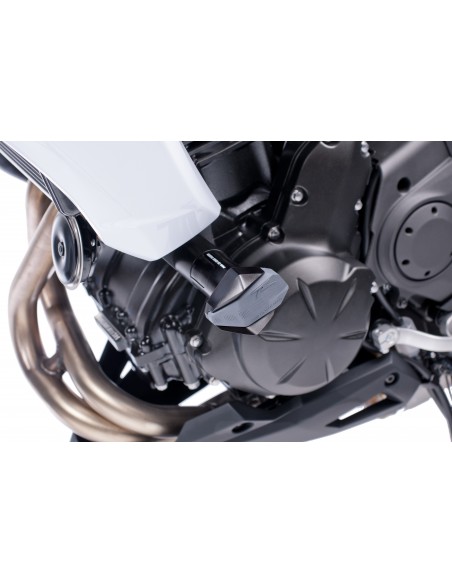 Protectores de motor R R12