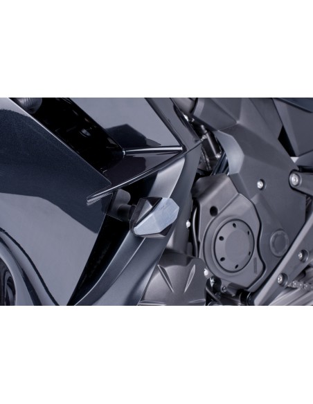 Protectores de motor R R12