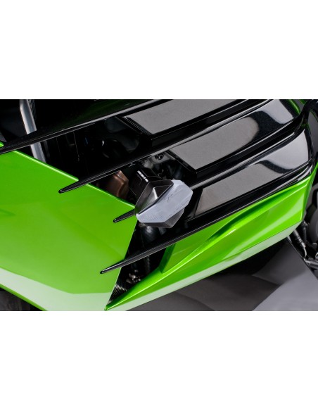 Protectores de motor R R12