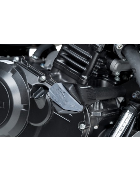 Protectores de motor R R12