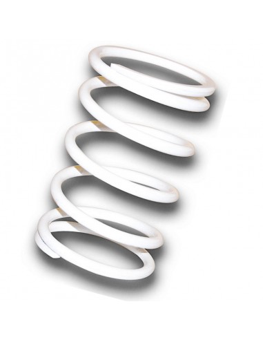 MUELLE MALOSSI POLEA CONDUCIDA BLANCA