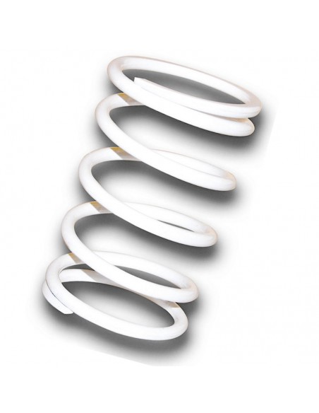 MUELLE MALOSSI POLEA CONDUCIDA BLANCA