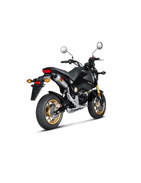 COLECTORES OPCIONALES. NO HOMO