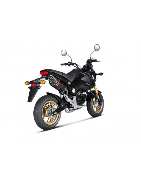 COLECTORES OPCIONALES. NO HOMO