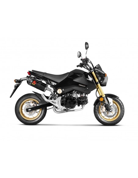 COLECTORES OPCIONALES. NO HOMO