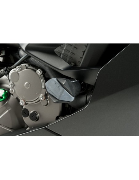 PROTECTOR MOTOR R12 KAWASAKI Z