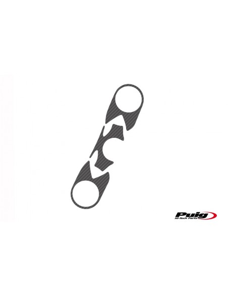 PROTECTOR TIJA CARBONO KAWASAK