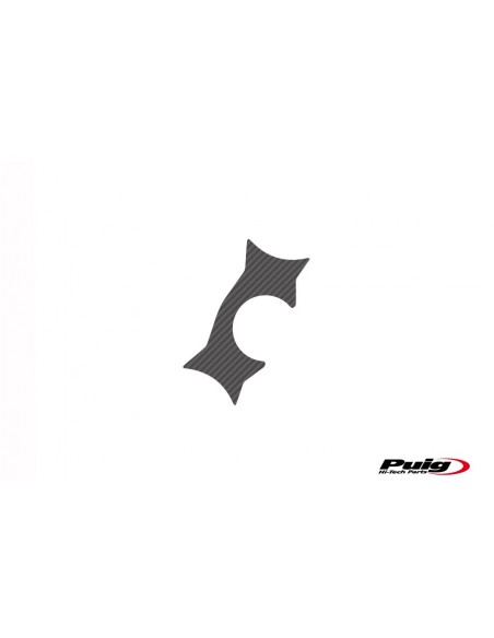 PROTECTOR TIJA CARBONO KAWASAK