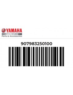 Escape Yamaha XV950 SCR950 SLIP-ON SL (907983250100)