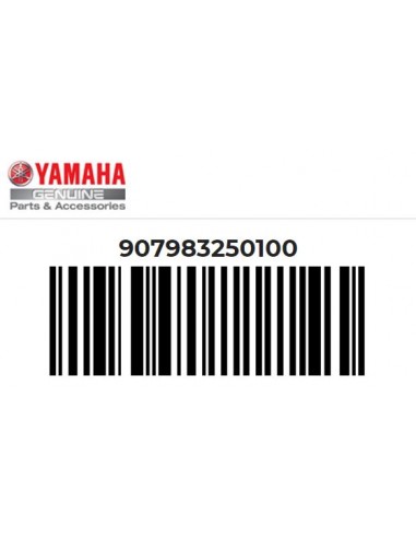 Escape Yamaha XV950 SCR950 SLIP-ON SL (907983250100)