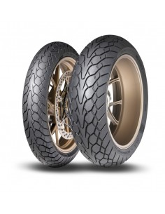 NEUMATICO MUTANT 160/60-17 ZR(69W) TL M+S