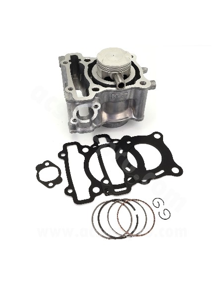 INDRO RB DIAMETRO 52 YAMAHA NMAX 125