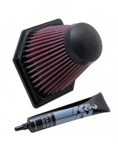 FILTRO DE AIRE K&N FBM1205