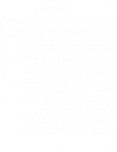 FILTRO DE AIRE K&N FHA2517