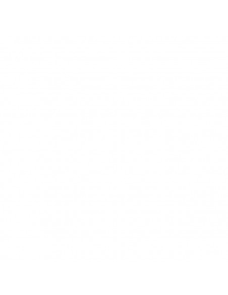 FILTRO DE AIRE K&N FHA2517