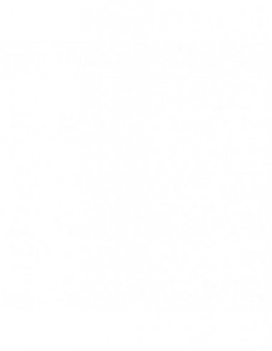 FILTRO DE AIRE K&N FHA3021