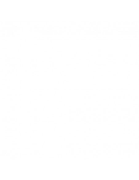 FILTRO DE AIRE K&N FHA3021