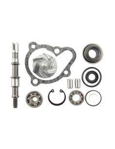 SET REPARA EJE BOMBA AGUA KYMCO 250