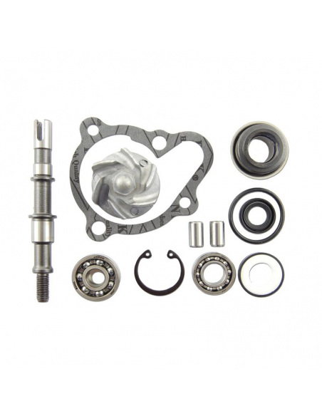 SET REPARA EJE BOMBA AGUA KYMCO 250