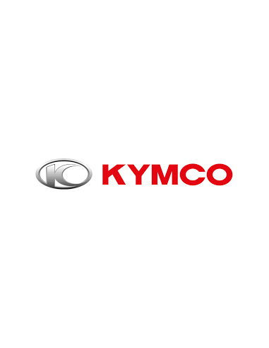 SEMIBASCULANTE TRASERO KYMCO SUPERDINK 350 SEMIBASCULANTE TRASERO KYMCO SUPERDINK 350
