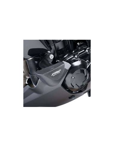 PROTECTORES DE MOTOR PRO KAWASAKI Z1000