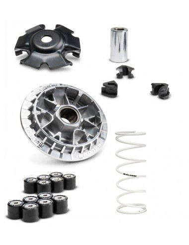 VARIADOR MALOSSI MULTIVAR 2000 HONDA SH/FORZA 125 EURO 5 21-24