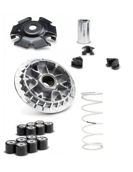 VARIADOR MALOSSI MULTIVAR 2000 HONDA SH/FORZA 125 EURO 5 21-24
