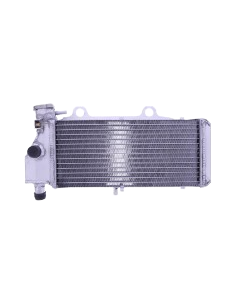 RADIADOR DE AGUA BMW F 650 CS/GS/ST - G 650 GS