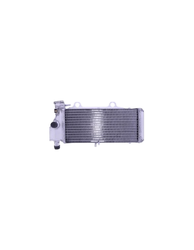RADIADOR DE AGUA BMW F 650 CS/GS/ST - G 650 GS RADIADOR DE AGUA BMW F 650 CS/GS/ST - G 650 GS