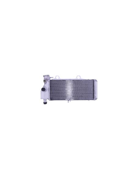 RADIADOR DE AGUA BMW F 650 CS/GS/ST - G 650 GS