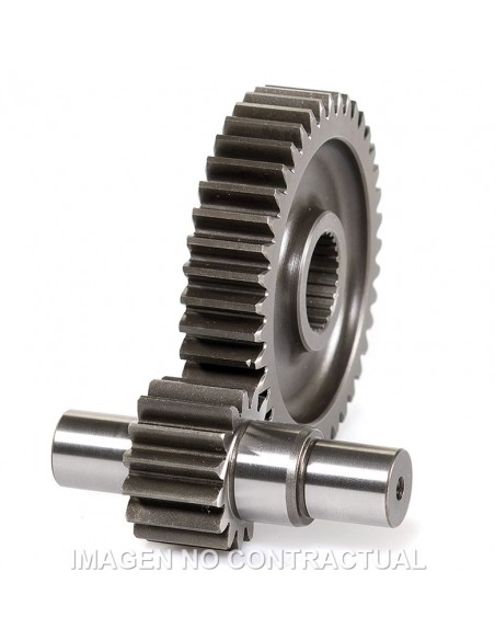 DESARROLLO SECUNDARIO LARGO